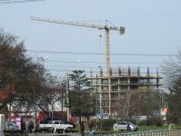 Imagine atasata: Vivalia Bulbuca - 2016.02.28 - 15.jpg